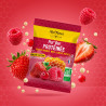Barre protéinée Bio - Fruits Rouges, Miel et Gelée royale | Meltonic