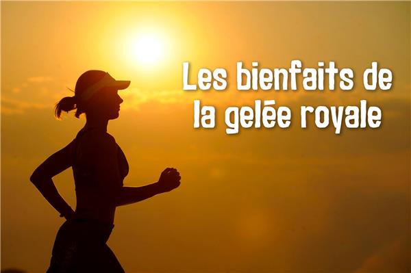 Les bienfaits de la gelée royale : Conseils Meltonic