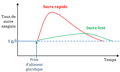 graphique qui permet de comprendre le fonctionnement du sucre rapide et lent dans le sang en fonction du temps