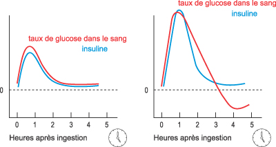 Graphiques du taux de glucose dans le sang après ingestion de gels énergisants