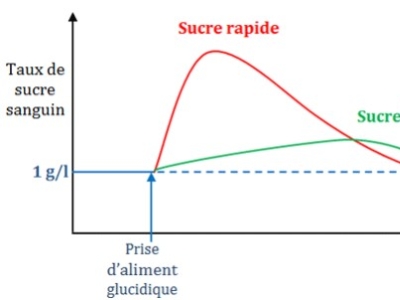 Sucres dans le Sport : Comprendre la Vérité sur les Sucres Rapides et Lents