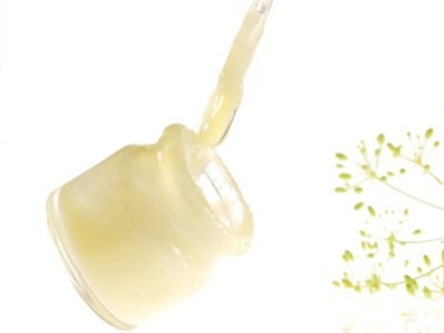 La Gelée Royale, un puissant stimulant
